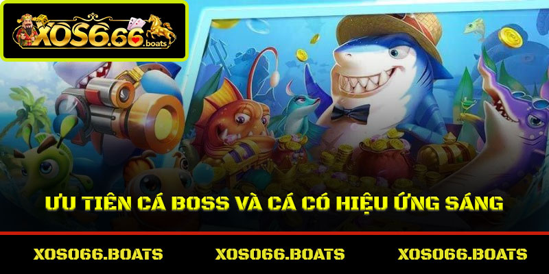 Ưu tiên cá boss và cá có hiệu ứng sáng