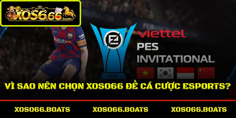 Vì sao nên chọn Xoso66 để cá cược eSports?